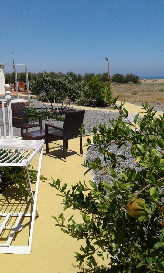 Mersinera Paradise Garden Stars House Lárnaca Exterior foto